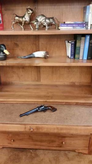 Gurley-12 Gun-bookcase-20180505 100514