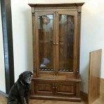 Loki with one of our cherry custom gun cabinets