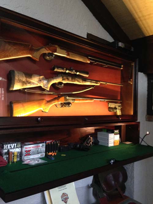 Beach 3 gun display with storage