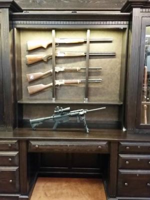 Reedstro-28-gun-cabinet-desk-20170822 163645
